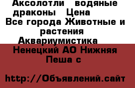 Аксолотли / водяные драконы › Цена ­ 500 - Все города Животные и растения » Аквариумистика   . Ненецкий АО,Нижняя Пеша с.